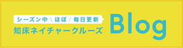 シーズン中ほぼ毎日更新! 知床ネイチャークルーズ ブログ