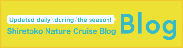 Updated daily during the season! Shiretoko Nature Cruise Blog