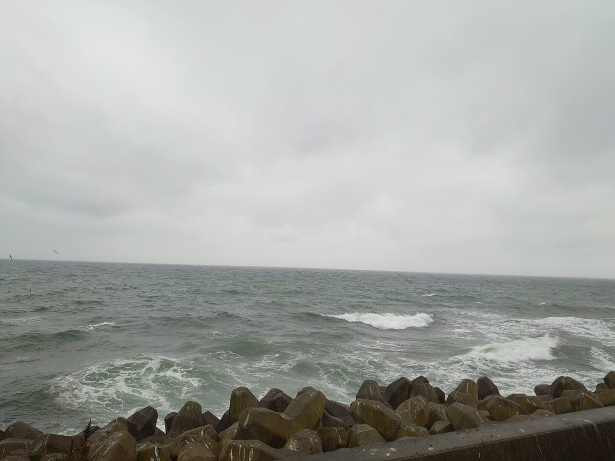 風波強く雨も降り続き | 知床ネイチャークルーズ | クジラ・イルカ・バードウォッチング | 流氷